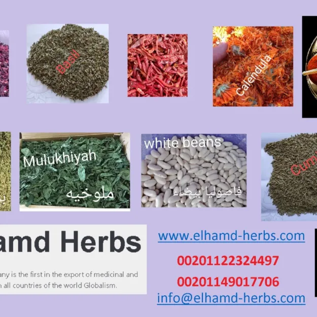 elhamd-herbs