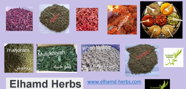 elhamd-herbs