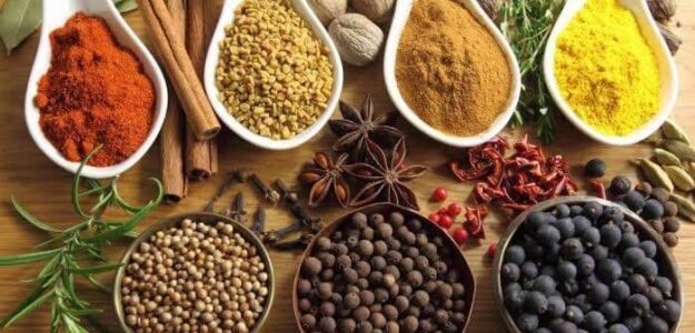 عطارة المدينة